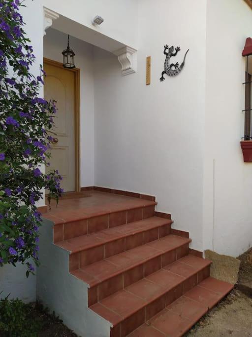 Agradable Casa Con Piscina En La Serrania. أرياتي المظهر الخارجي الصورة