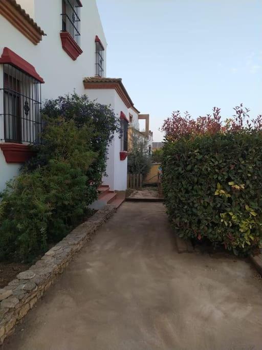 Agradable Casa Con Piscina En La Serrania. أرياتي المظهر الخارجي الصورة